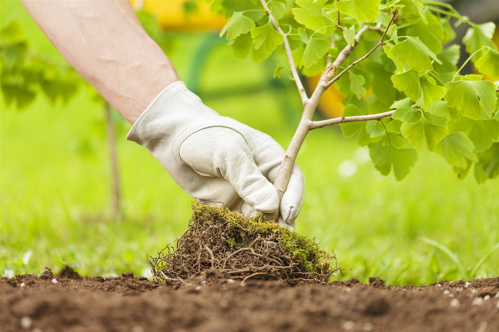 Garten- und Landschaftsbau